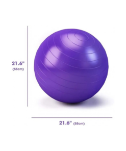 Pelota de Fitness 55 cm para Yoga, Pilates y Ejercicio Morada