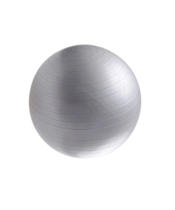 Pelota de Fitness 55 cm para Yoga, Pilates y Ejercicio Gris